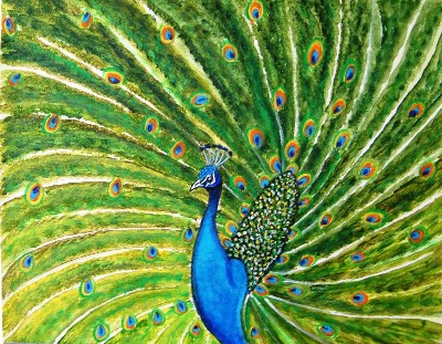 Glorious Peacock